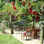 Hotel Dalya Life Göcek