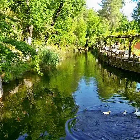 Отель Dalya Life 3*