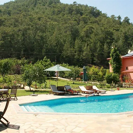 Dalya Life Hotel