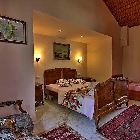 Dalya Life Гёчек