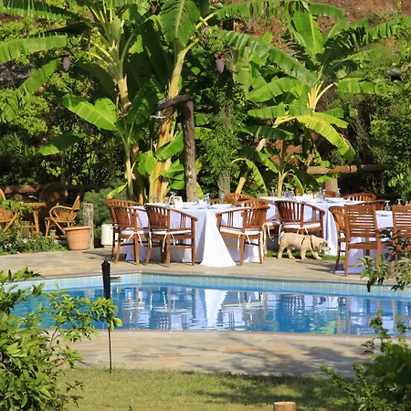 Dalya Life Гёчек