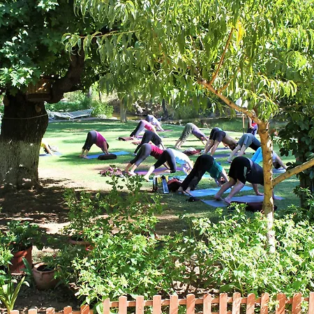 Отель Dalya Life