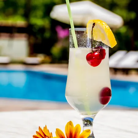 Dalya Life 3* Гёчек