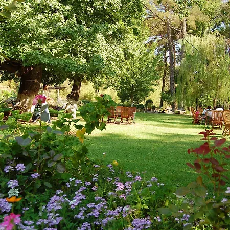 Отель Dalya Life Гёчек