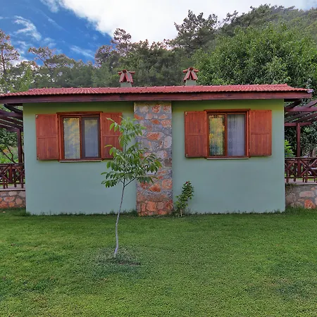 Dalya Life Отель 3*