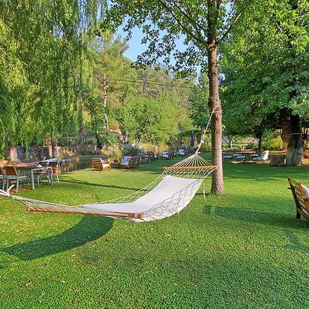 Отель Dalya Life 3*