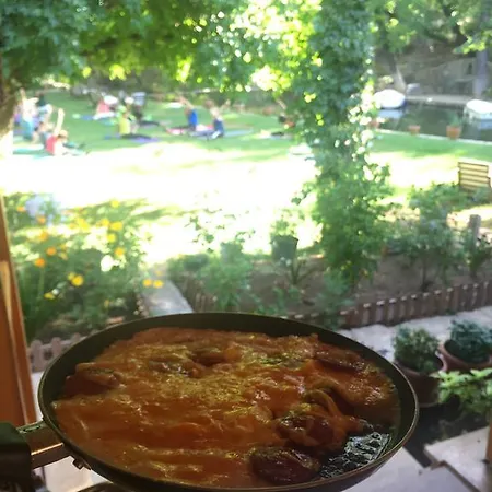 داليا لايف