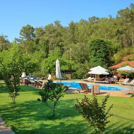 Dalya Life 3* Gocek (Fethiye)
