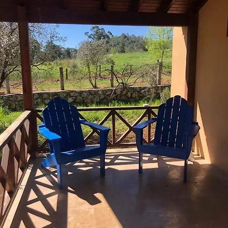 Dalya Life Гёчек