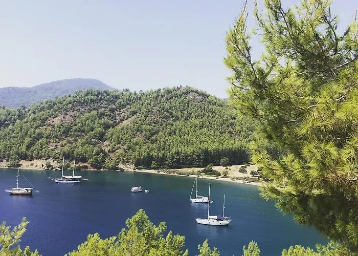 Dalya Life Göcek