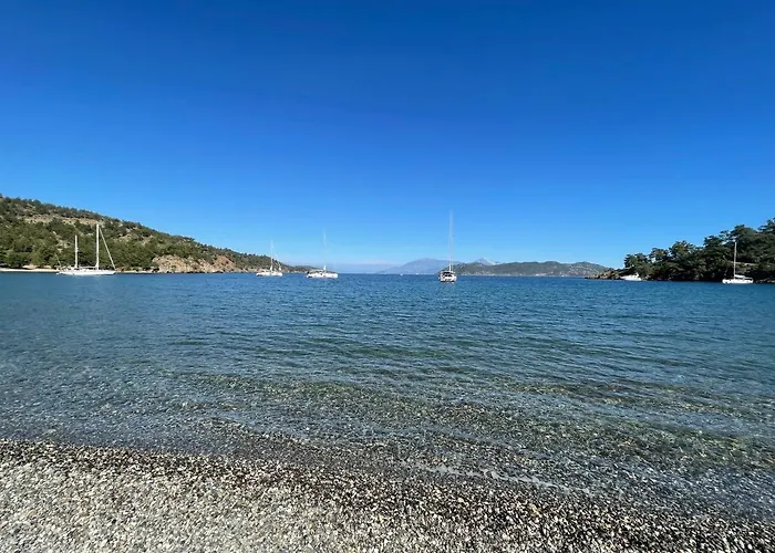 Dalya Life Ξενοδοχείο