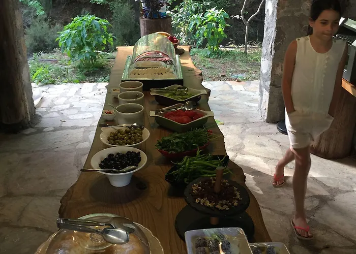 Ξενοδοχείο Dalya Life 3*