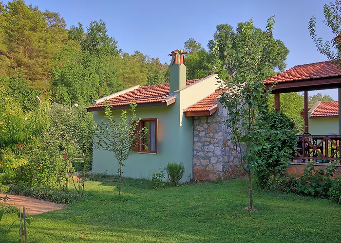 Dalya Life Göcek