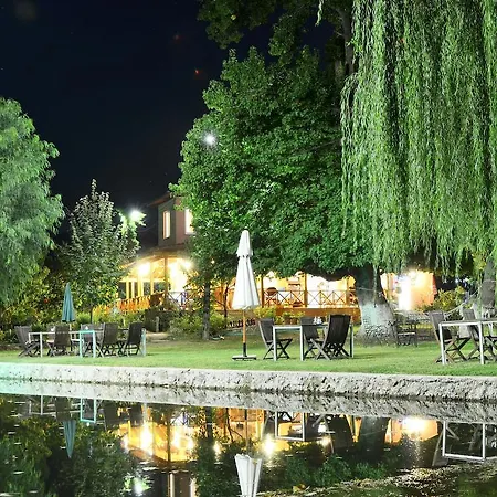 호텔 달리야 라이프 교젝