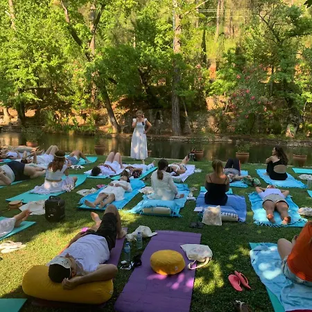 호텔 달리야 라이프