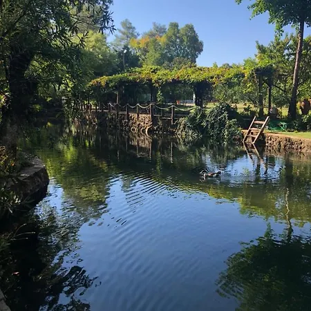 달리야 라이프 3*