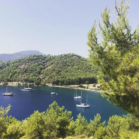 달리야 라이프 교젝