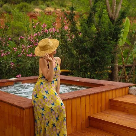 달리야 라이프 호텔 교젝