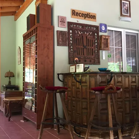 달리야 라이프 3* 교젝