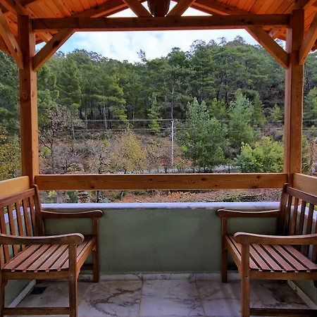 호텔 달리야 라이프 3*