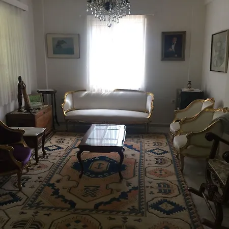 달리야 라이프 3*