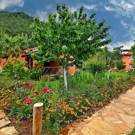 Hotel Dalya Life Göcek