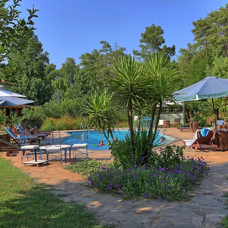 달리야 라이프 교젝