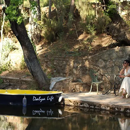Dalya Life 3*