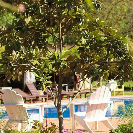 Dalya Life Hotel