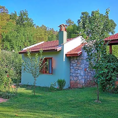 Dalya Life Hotel Göcek