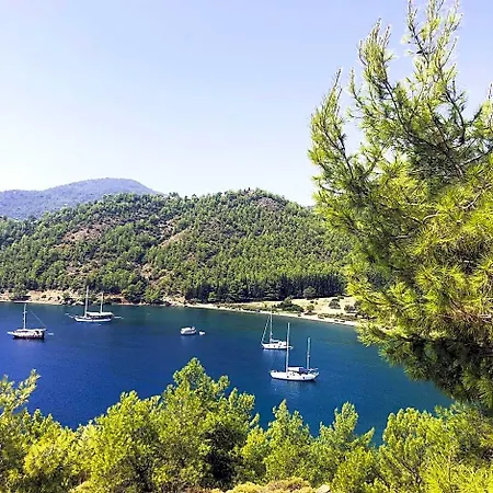 Hotel Dalya Life Göcek
