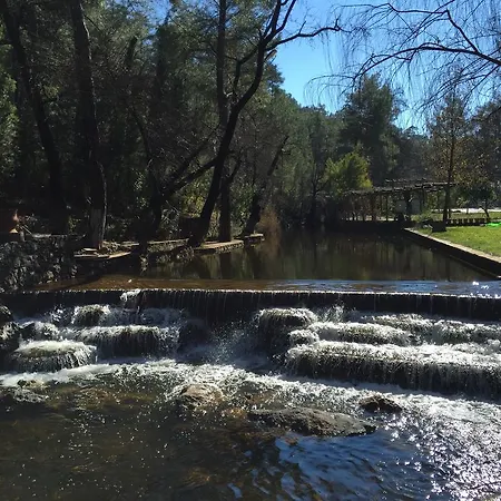 달리야 라이프 교젝