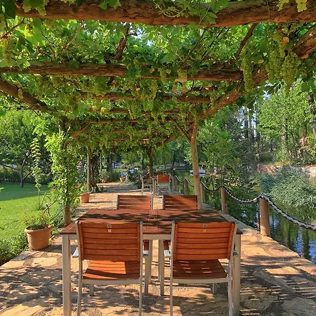 달리야 라이프 호텔 3*