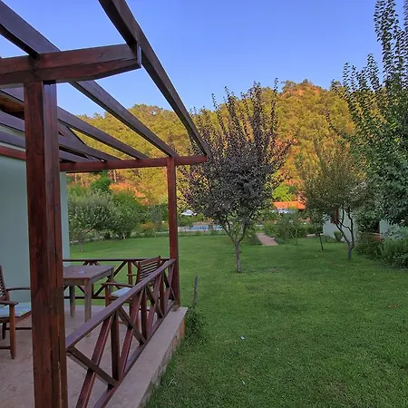 달리야 라이프 호텔