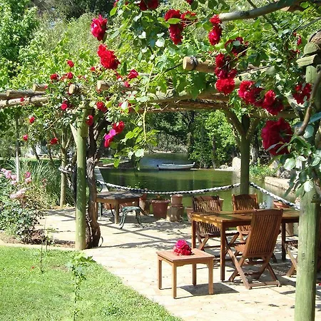 Hotel Dalya Life Göcek