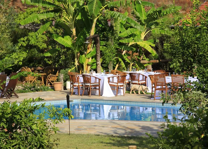 Dalya Life Gocek (Fethiye)